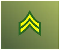 ALL RANKS and LEVELS OF MINI MILITIA