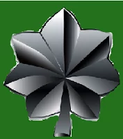 (ALL RANKS and LEVELS OF MINI MILITIA) badge for leftenant colonel rank in mini militia mod apk doodle army 2