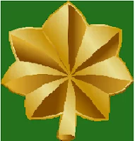 (ALL RANKS and LEVELS OF MINI MILITIA) badge for major rank in mini militia mod apk doodle army 2