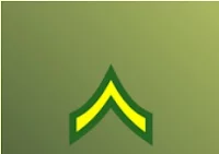 ALL RANKS and LEVELS OF MINI MILITIA