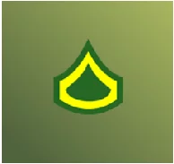 ALL RANKS and LEVELS OF MINI MILITIA