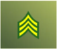 ALL RANKS and LEVELS OF MINI MILITIA